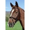 Vespucci Plain Raised English Bridle Brown -Equestrian Supplies Store 810455 c1109