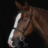 Collegiate Comfort Crown Fancy Stitched Raised Cavesson Bridle