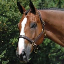 Vespucci Fancy Stitched Leather Halter