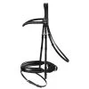 Passier Fortuna Dressage Bridle Horse Size -Equestrian Supplies Store 850020 c1105 alt1
