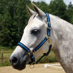 Country Pride Padded Two Tone Nylon Halter -Equestrian Supplies Store 858735 c1106 f3da79ed 4d7e 401e 8421 1dfd191f156a