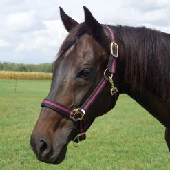Country Pride Padded Two Tone Nylon Halter -Equestrian Supplies Store 858735 c1110