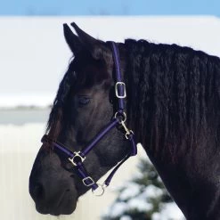 Country Pride Padded Two Tone Nylon Halter -Equestrian Supplies Store 858735 c1157