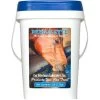 Cox Vet Labs Perk-A-Lyte Electrolyte - 5 Lb -Equestrian Supplies Store 8678