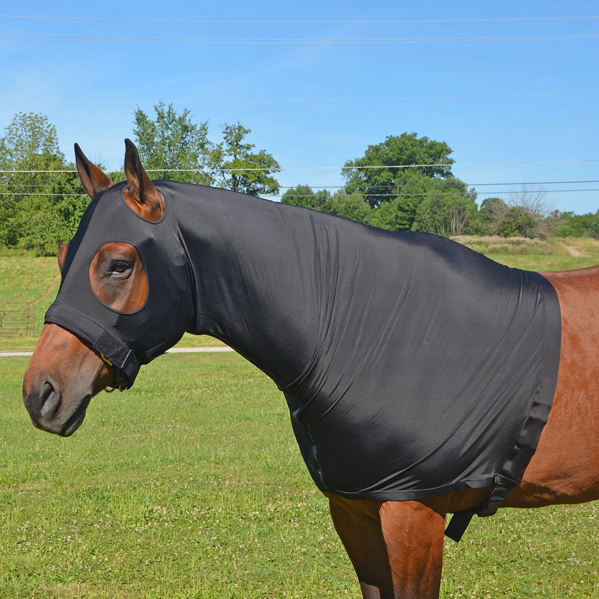 Lycra Head And Shoulder Hood With Full Zipper 3 Lycra Head And Shoulder Hood With Full Zipper