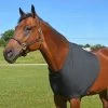 Country Pride Lycra Chest Guard -Equestrian Supplies Store 8992z c1105