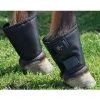 Click Horse Fetlock Shield Pair One Size -Equestrian Supplies Store 95064