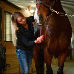 Wahl KM Cordless 2 Speed Clipper Kit -Equestrian Supplies Store 9596 100 c1156 alt3