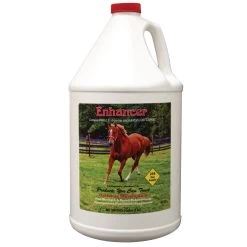 Cox Vet Labs Enhancer Release The Power Gallon