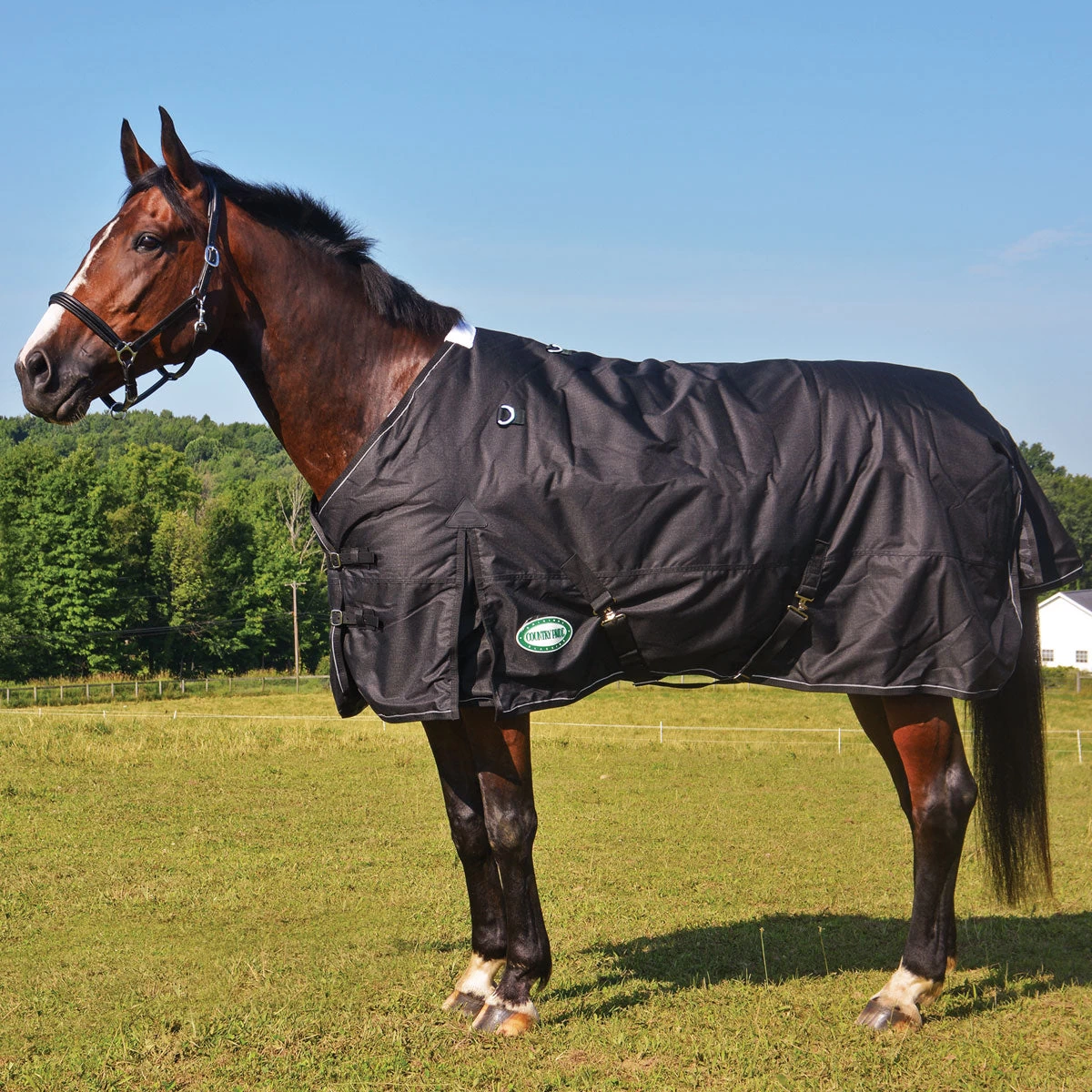 Storm Pro 1200D Midweight Turnout Blanket 3 Storm Pro 1200D Midweight Turnout Blanket