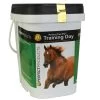 Perfect Prep EQ Training Day Powder 5 Lb -Equestrian Supplies Store PPTD5