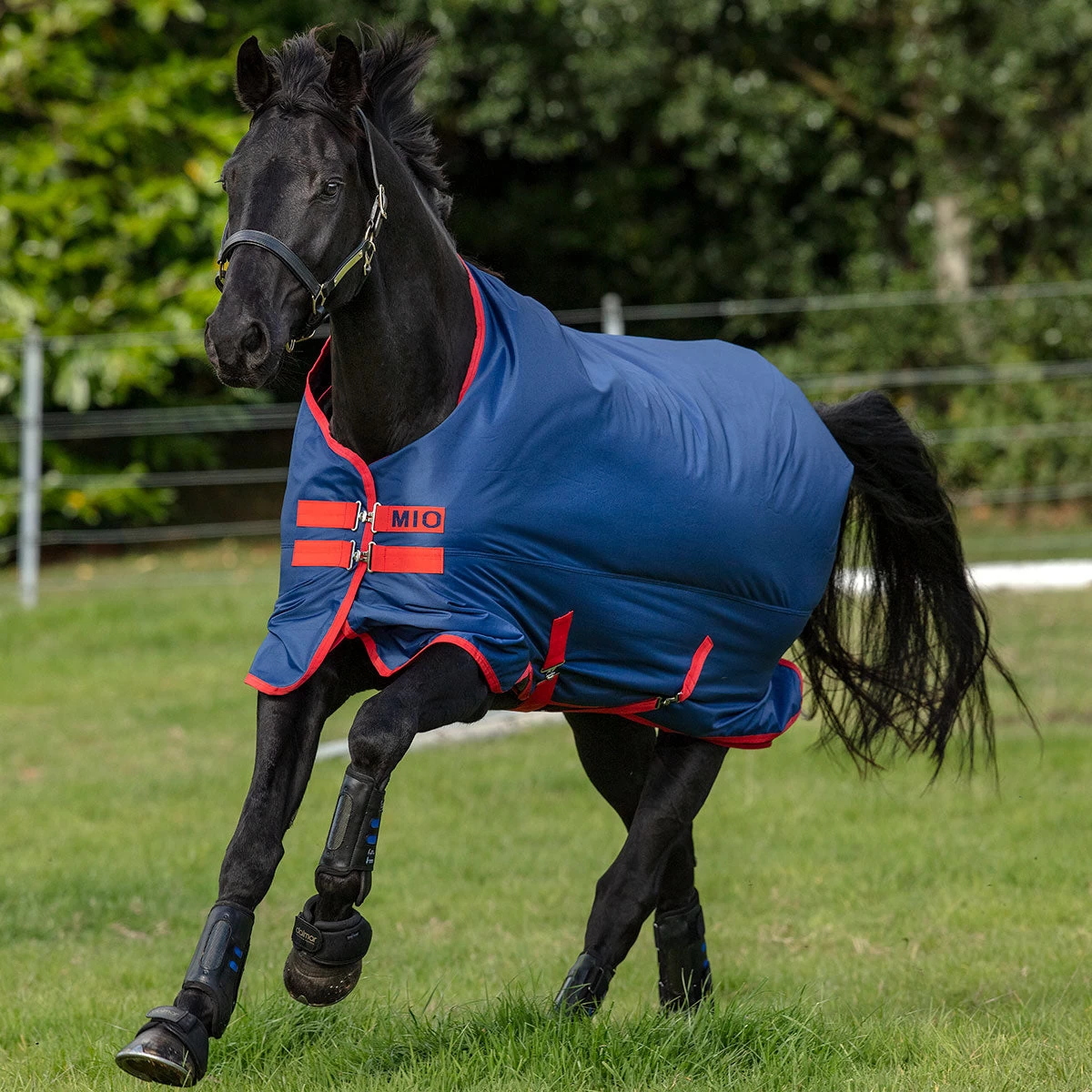 Horseware Ireland Horseware Amigo Mio 200g Medium Turnout 4 Horseware Ireland Horseware Amigo Mio 200g Medium Turnout - Image 2