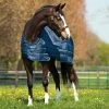 Horseware Ireland Horseware Blanket Liner 200g -Equestrian Supplies Store abad61 c1146 fd1ad9a4 b944 4e93 a198 e094886c41e1