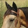 Cashels Comfort Ears Fly Protection -Equestrian Supplies Store cebla