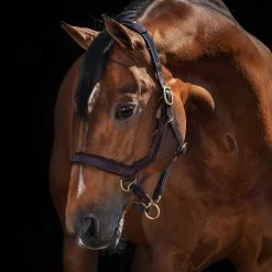Rambo Micklem Halter -Equestrian Supplies Store dhal8 c1109