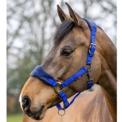 LeMieux Vogue Halter And Leadrope Set -Equestrian Supplies Store it0082 c1106 alt1