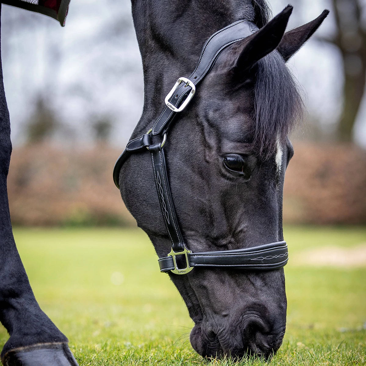 LeMieux Stitched Anatomical Leather Halter 3 LeMieux Stitched Anatomical Leather Halter