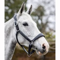 LeMieux Stitched Anatomical Leather Halter 19 LeMieux Stitched Anatomical Leather Halter -Equestrian Supplies Store it00882 c1105 alt3