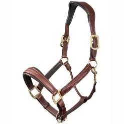 LeMieux Stitched Anatomical Leather Halter 17 LeMieux Stitched Anatomical Leather Halter -Equestrian Supplies Store it00882 c1109 alt1