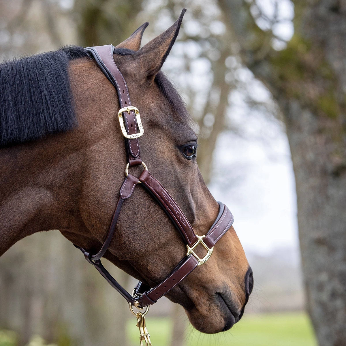 LeMieux Stitched Anatomical Leather Halter 7 LeMieux Stitched Anatomical Leather Halter - Image 5