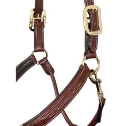 LeMieux Stitched Anatomical Leather Halter 14 LeMieux Stitched Anatomical Leather Halter -Equestrian Supplies Store it00882 c1109 alt4