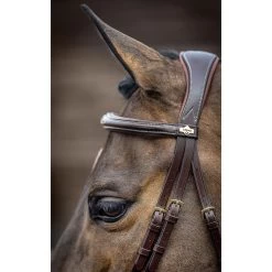 LeMieux Competition Flash Bridle -Equestrian Supplies Store it02645 c1109 alt3