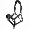 LeMieux ProSafe Headcollar 1 LeMieux ProSafe Headcollar -Equestrian Supplies Store it0323 c1105