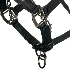 LeMieux ProSafe Headcollar -Equestrian Supplies Store it0323 c1105 alt2