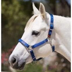 Kensington Breakaway Halter With Padded Nose -Equestrian Supplies Store khsb c1106