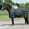 Country Pride Calgary Heavyweight Turnout Blanket -Equestrian Supplies Store ktl1533 c1105