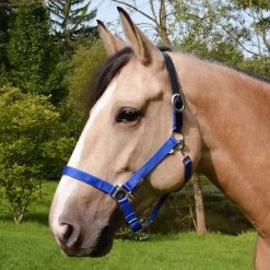 Country Pride Breakaway Nylon Halter -Equestrian Supplies Store ktl1852 c1106