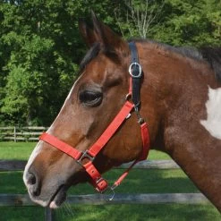 Country Pride Breakaway Nylon Halter -Equestrian Supplies Store ktl1852 c1158