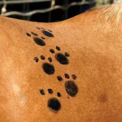 Tail Tamer Pony Paints 4 Oz -Equestrian Supplies Store ppnts c1106 alt1